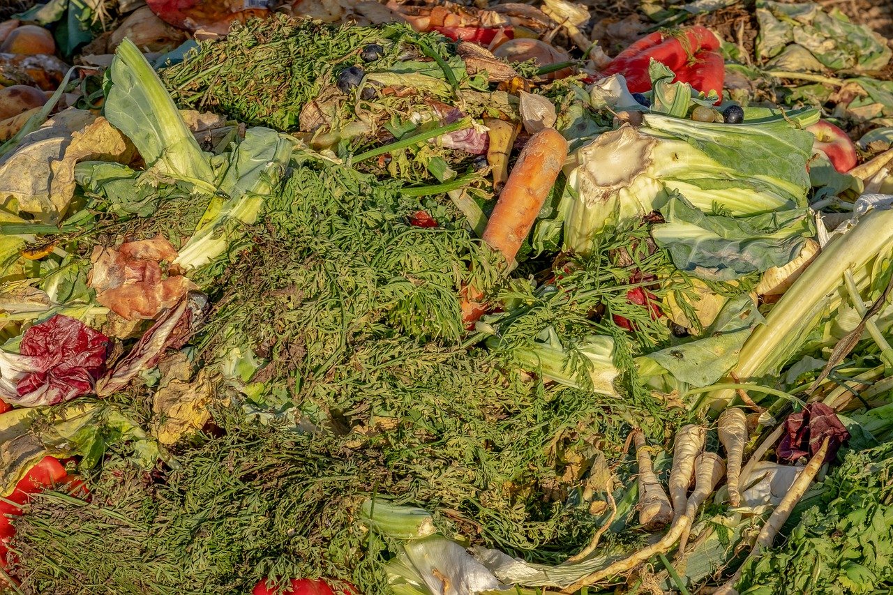 Compost, légumes, diversité, bio